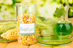 Hailey biofuel availability